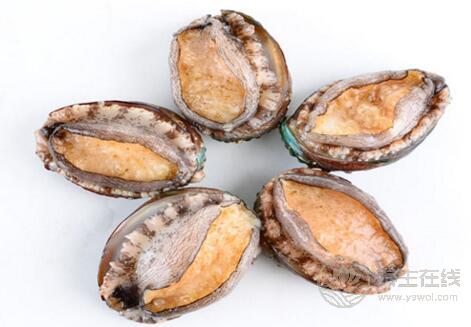生蠔和鮑魚哪個好吃,鮑魚和生蠔的區別圖