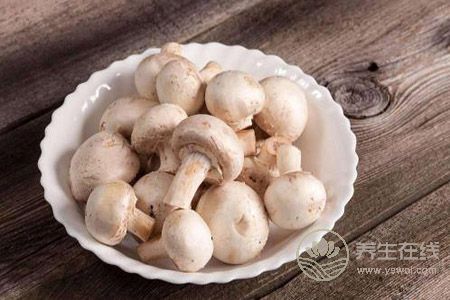 春季健康減肥食譜有哪些