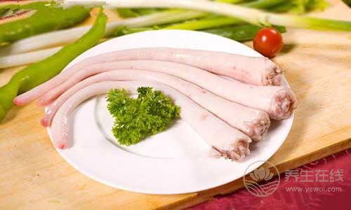 豬尾巴的營養價值