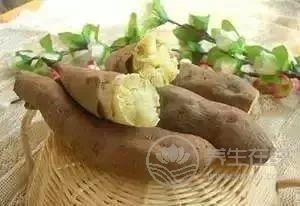 到底吃紅薯紫薯白薯哪種更營養？常吃它降壓不發胖！