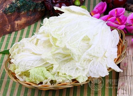 大白菜竟能防癌 推薦家常大白菜烹飪的小妙招