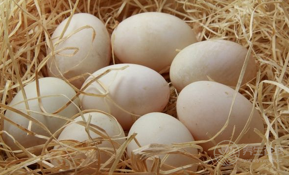 吃什么擺脫熊貓眼？推薦8種食物吃走熊貓眼