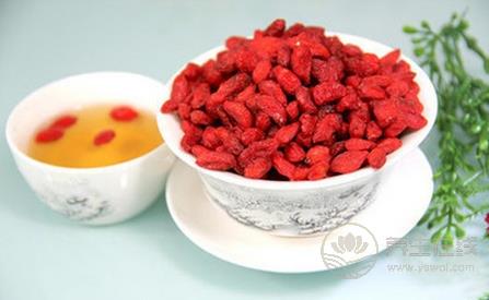枸杞子泡水喝的功效與禁忌  亂喝它竟會上火流鼻血