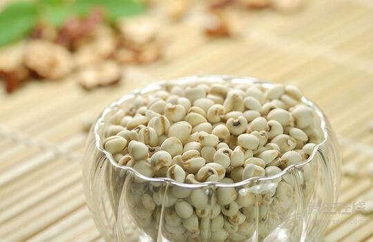 薏米快速減肥法薏米紅豆的做法大全