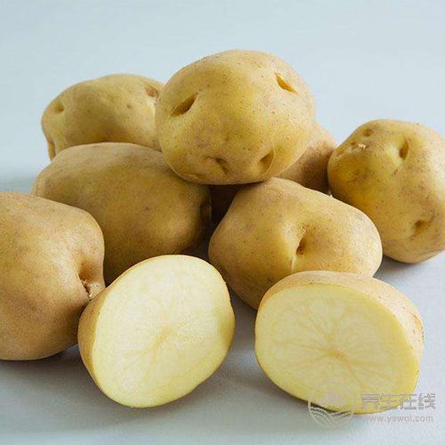 美白的蔬菜有哪些, 4種蔬菜常吃可讓你擁有美白肌膚