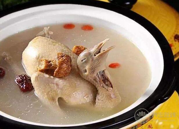 乳鴿+生姜，不到2周，胃脹胃疼胃酸不見了，胃病也好多了！