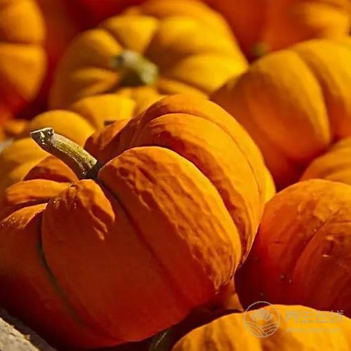 五谷雜糧談養生，長壽抗癌好幫手