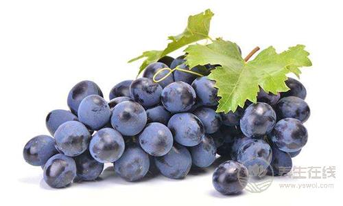 八食物搭配易致腹瀉 葡萄+牛奶導(dǎo)致腹脹腹痛腹瀉