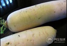冬吃蘿卜化痰止咳助消化，還不趕緊吃