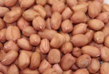 脂肪肝患者可以吃花生嗎？