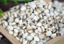 吃什么養生  薏米與這物搭配食用養生效果更佳