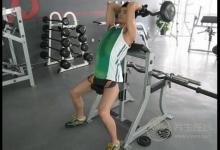 舉杠鈴會(huì)不會(huì)長(zhǎng)不高杠鈴可以練肱二頭肌嗎