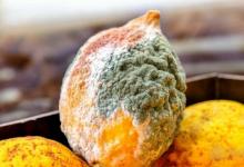 肝病跟吃關(guān)系大？想肝臟健康，少吃4類食物