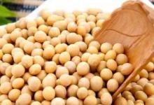 五谷雜糧談養生，長壽抗癌好幫手