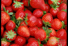 草莓竟還有這功能  獻上好看又美味的“草莓大福”