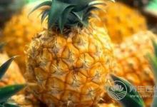 養(yǎng)生太極拳的意氣運(yùn)動(dòng)