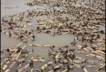 吃了東西感覺沒吃一樣是怎么回事？