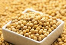 盤(pán)點(diǎn)3種豆類的營(yíng)養(yǎng)價(jià)值，常吃讓你遠(yuǎn)離疾病困擾