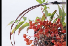 神經衰弱怎么治？試試治療偏方