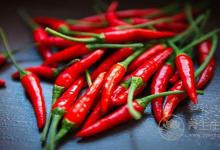 吃什么有效預(yù)防感冒 這12種食物提高抵抗力