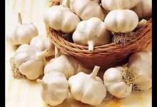 感冒吃什么好得快 十食療治風(fēng)寒感冒