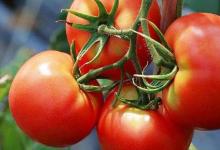 吃蔬菜雖好，但這些食用禁忌你知道幾個？