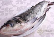 女性吃魚真能減肥嗎？哪些魚類可以減肥？