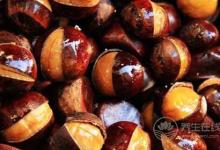 常吃板栗會發胖？ 千萬別因誤會錯失這營養食物