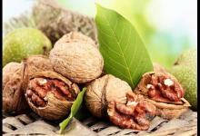核桃真的能補腦嗎？核桃的營養(yǎng)價值有多高
