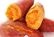 胃不好吃什么養(yǎng)胃 十種食物呵護腸胃