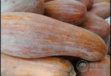 揭秘喝紅玫瑰葡萄酒的好處？