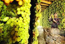 醋泡葡萄干的8大功效作用 要想延年益壽就吃它