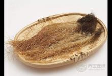 玉米須煮水喝才是養(yǎng)生高手，勝過這5種藥