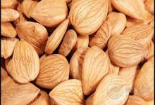 杏仁作用大，對身體有這些好處，你知道嗎？