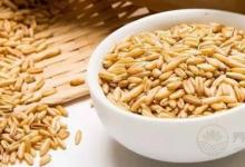 都說燕麥是營養(yǎng)之王，但你知道該如何選？如何吃嗎？