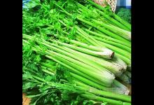 吃芹菜拌腰果降壓養顏  芹菜拌腰果的簡單做法