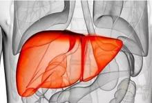 做夢睡不好是因為“血虛”，教你如何養血，從根本解決身體病灶