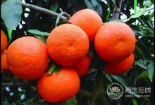 肝好的人常有這些習慣！常吃3種果蔬，肝更好