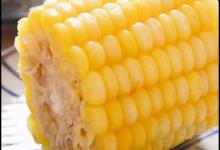 病毒性腦炎飲食保健食療法