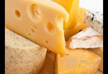 奶酪是什么東西？奶酪和牛奶哪個好?