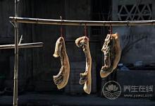 腎不好的朋友，這幾種食物要少吃