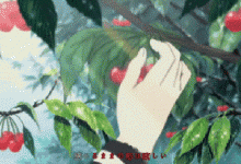 小小的一粒，勝過3味藥，五月正當吃，堅決不能錯過