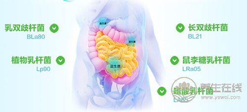 拉肚子腹瀉怎么辦？吃點益生菌好得快