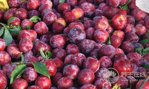 生活中的“純天然藥”，平時都吃得到