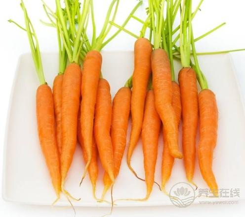 貧血吃什么？這4種食物補血效果不比紅棗差