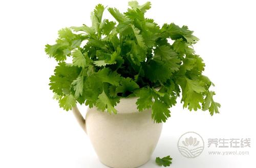 香菜雖然“臭”，但它的養(yǎng)生作用很多，不吃太可惜
