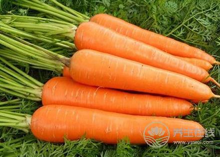 漲姿勢(shì)！這些食物竟然都能防脫發(fā)