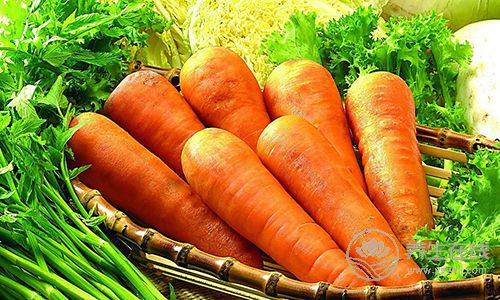 蘿卜是個好東西，但是不同的蘿卜有不同的功效，別吃錯了