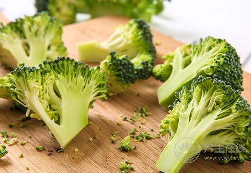 8月份的養(yǎng)生蔬菜有哪些?看看有沒有你喜歡吃的 8月份的養(yǎng)生蔬菜有哪些?看看有沒有你喜歡吃的