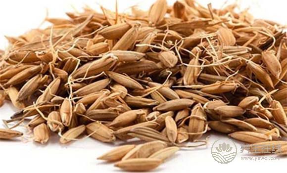 養胃的食物 五谷雜糧 養胃的食物 五谷雜糧